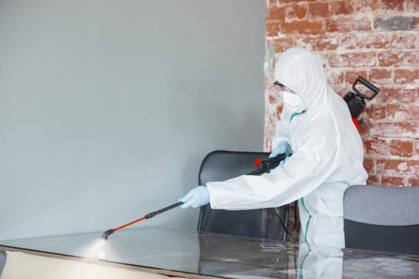 Mold Removal for HVAC Installations in Mount Wolf, PA